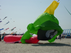 Berck2010-525