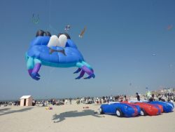 Berck2010-527
