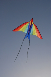Berck2010-534