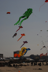 Berck2010-540