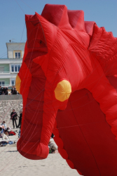 Berck2010-542