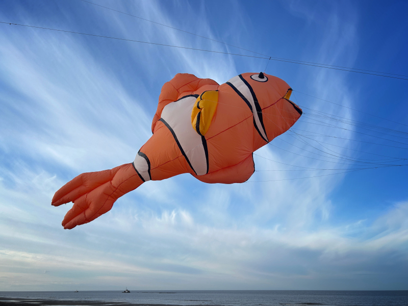 3h