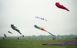 Beverley2002-022