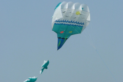 Beverley 2004