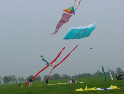 Beverley2005-009