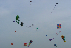 Beverley2005-021