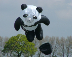 Beverley2005-035