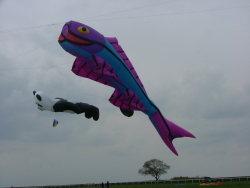 Beverley2006-008