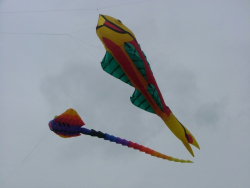 Beverley2006-009