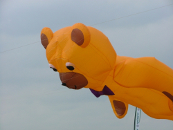 Beverley2006-011