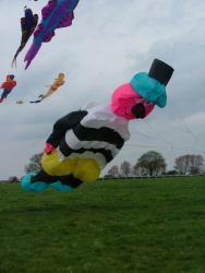 Beverley2006-019