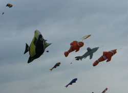 Beverley2006-022