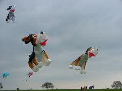 Beverley2006-023