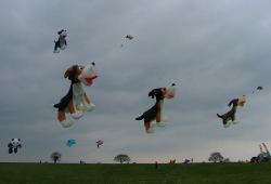 Beverley2006-024