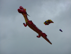 Beverley2007-012