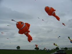Beverley2007-019
