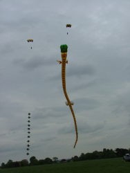 Beverley2007-021
