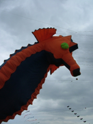 Beverley2007-026