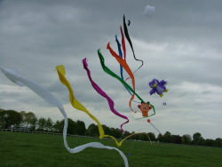 Beverley2007-031
