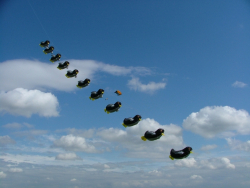 Beverley2007-046