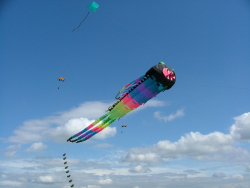Beverley2007-050