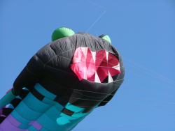 Beverley2007-051
