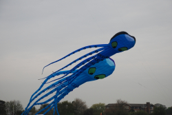 Beverley2008-016
