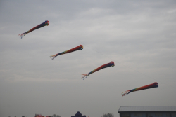 Beverley2008-023