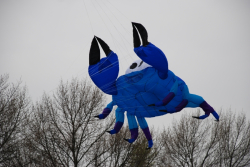 Beverley2008-029