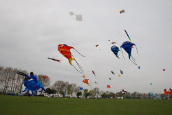 Beverley2008-035