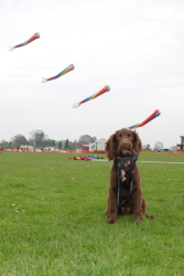 Beverley2008-037