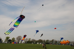 Beverley2008-065