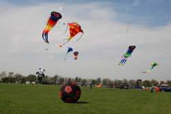 Beverley2008-066