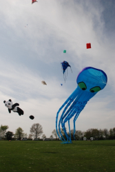 Beverley2008-071