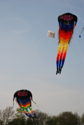 Beverley2008-074