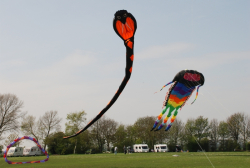 Beverley2008-076