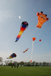 Beverley2008-083