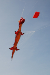 Beverley2008-084