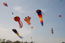 Beverley2008-087