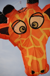 Beverley2008-091