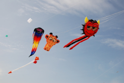 Beverley2008-092