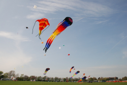 Beverley2008-094
