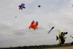BeverleySum2007-062