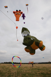 BeverleySum2007-063