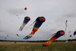BeverleySum2007-071