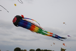 BeverleySum2007-074