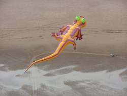 Blackpool2005-073
