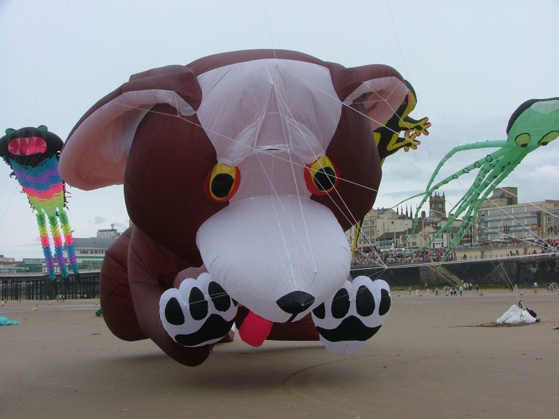 Blackpool2006-010
