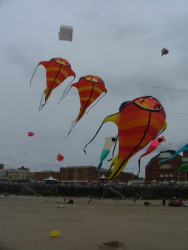 Blackpool2006-024