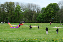 Bolsover2017-007